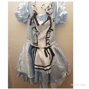 Alice in wonderland costume